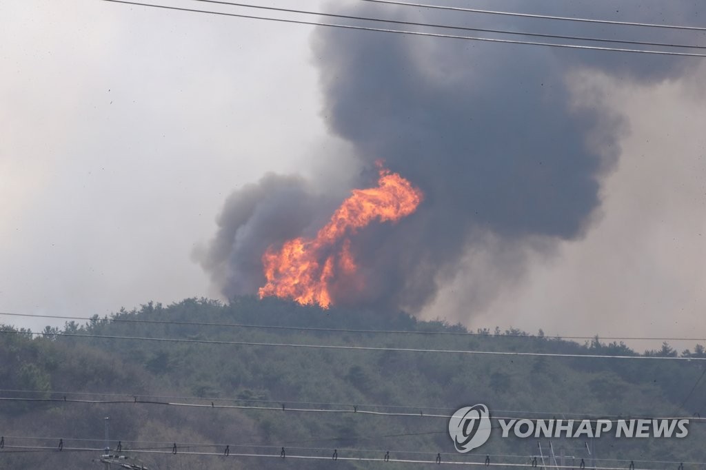 강풍에 진화 난항…홍성·대전·당진 산불 이틀밤 넘긴다(종합)