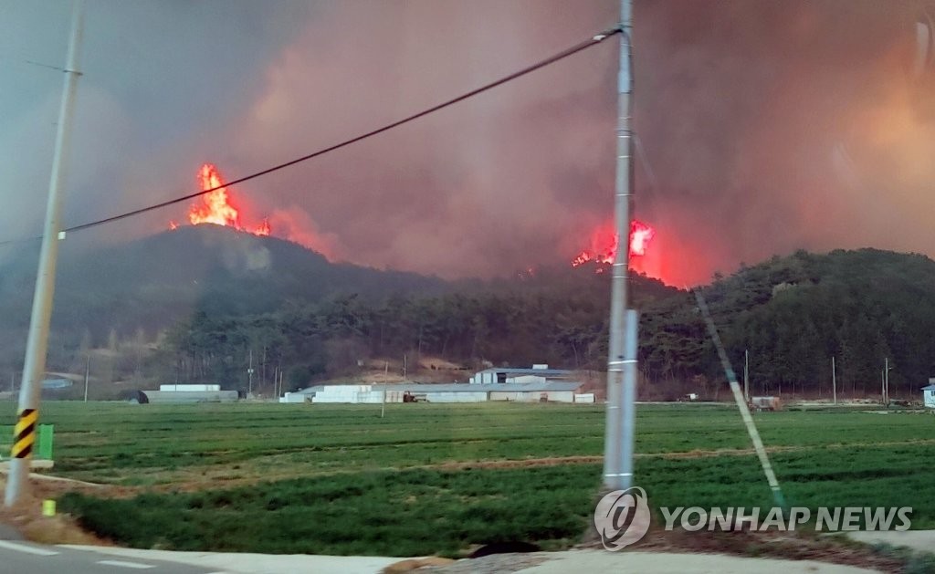 전남 함평·순천 산불 밤새 더 커져…일출 후 헬기 투입(종합)