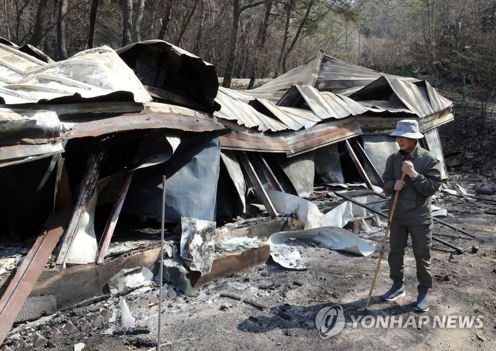 [르포] 대전 산직동 산불 주민들 "불이 걸어 다니는 것처럼 내려와"