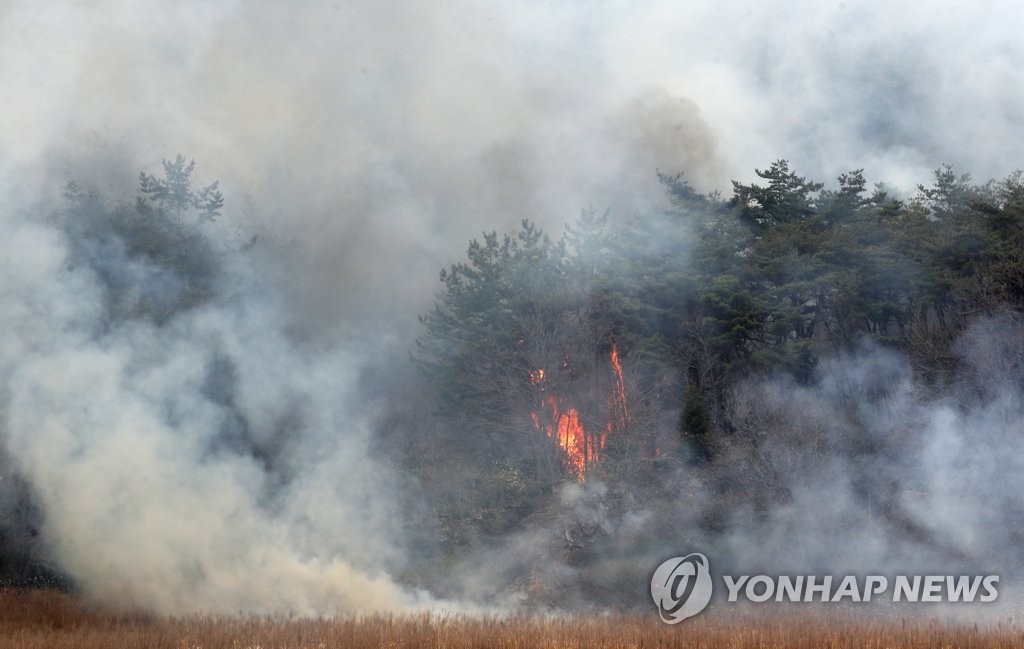 [르포] "시뻘건 불길 순식간에" 대피한 함평 주민들 한숨