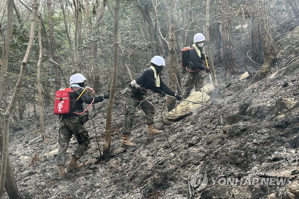 '대응 3단계' 순천 산불, 하루 만에야 주불 진압