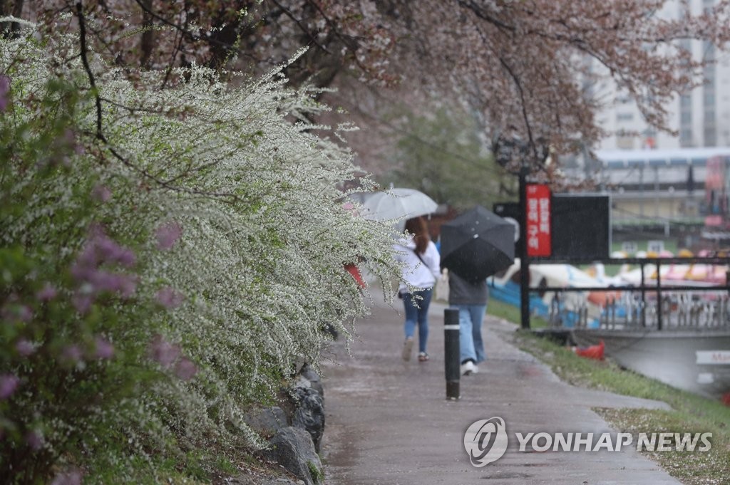 강원 영동 맑고 영서 오후 비…내일 아침 영하권