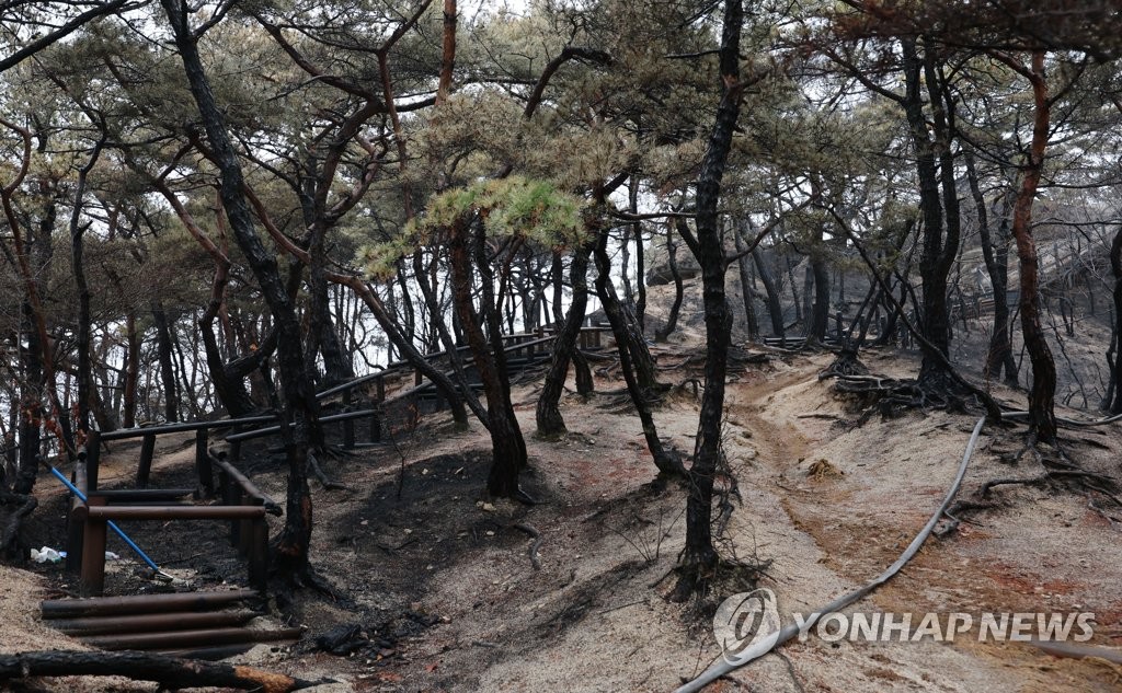 경북 구미·청송 건조주의보…포항 등 6곳 건조주의보 유지