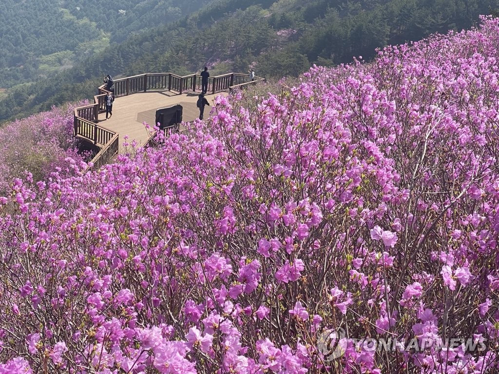 전북 맑고 낮 최고 19도…미세먼지 '보통'