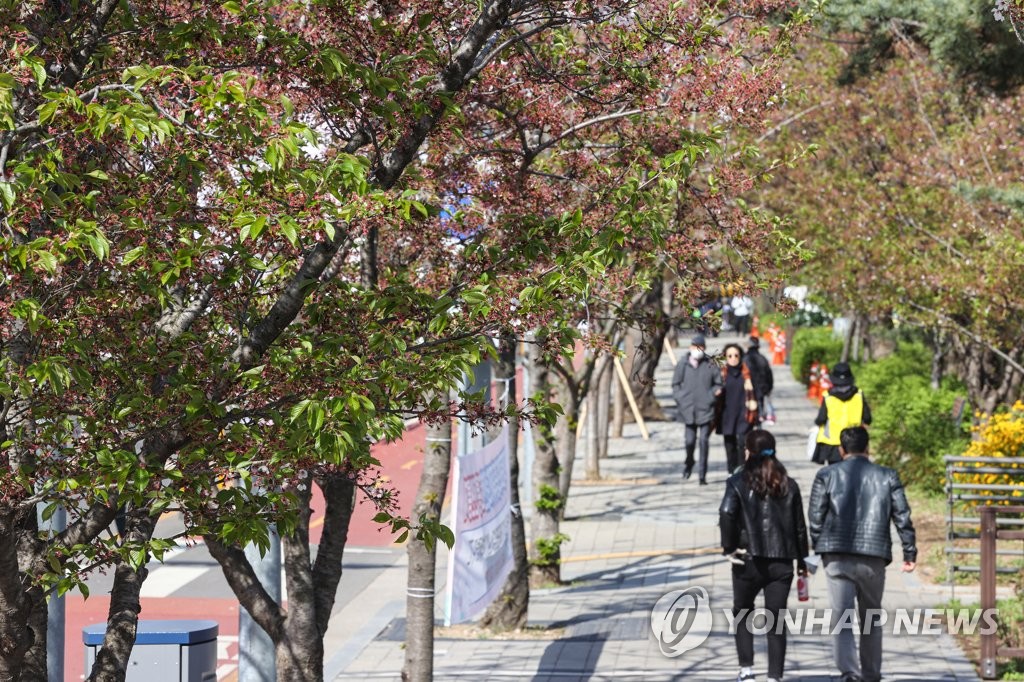 [내일날씨] 대체로 맑아…'초여름' 남부 평년 수준으로