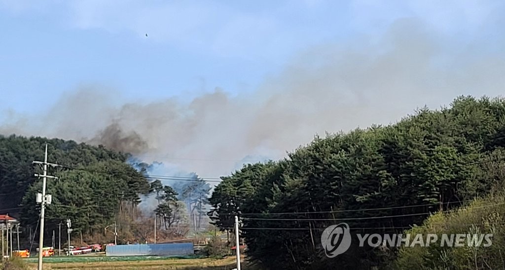 강풍·건조경보 속 강릉서 산불…초속 29ｍ 바람에 '긴장'