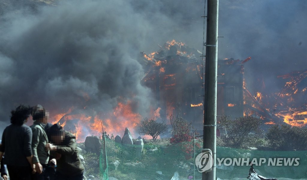 [강릉산불] "화상 입은 줄도 몰라"…불길 뛰어든 소방대원들 '화마 사투'