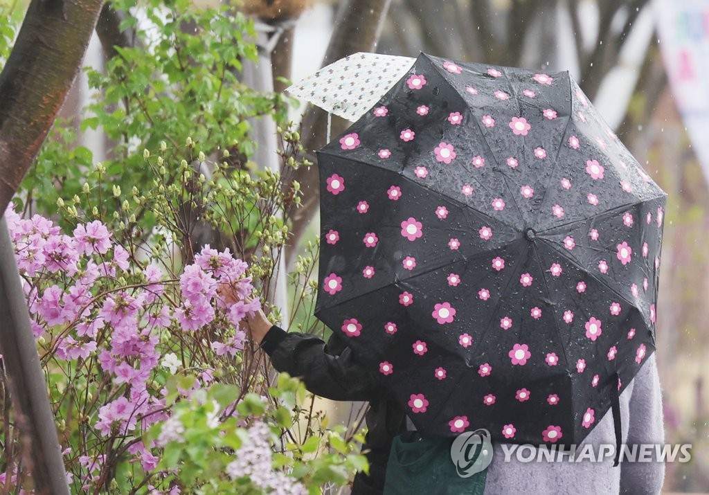 봄비도 못 막은 나들이…황금연휴 첫날 전국 축제장 북적