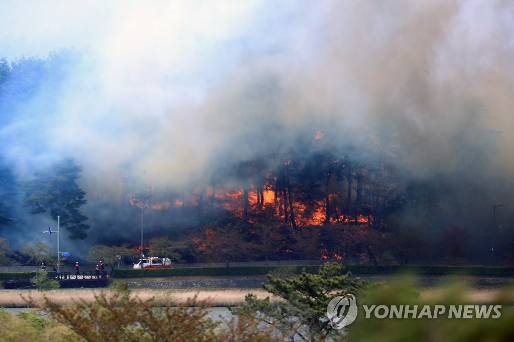 [강릉산불] "보물 경포대 지켜라" 거센 화마와 사투 벌인 공무원들