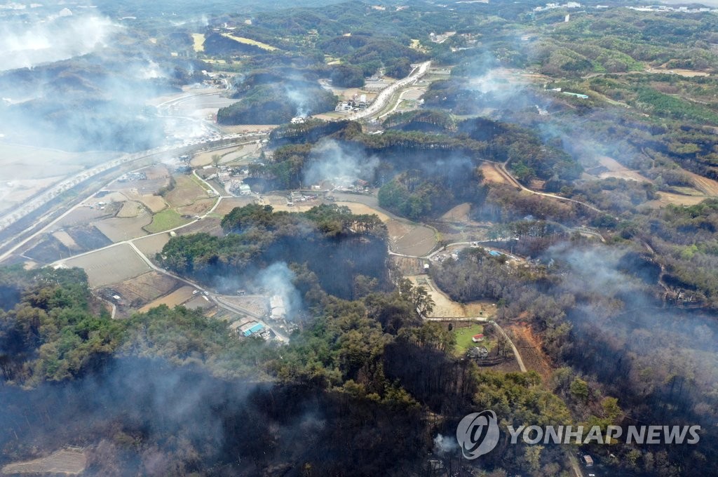 '산불 피해' 강릉 등 강원 영동에 건조·강한 바람…"불씨 주의"