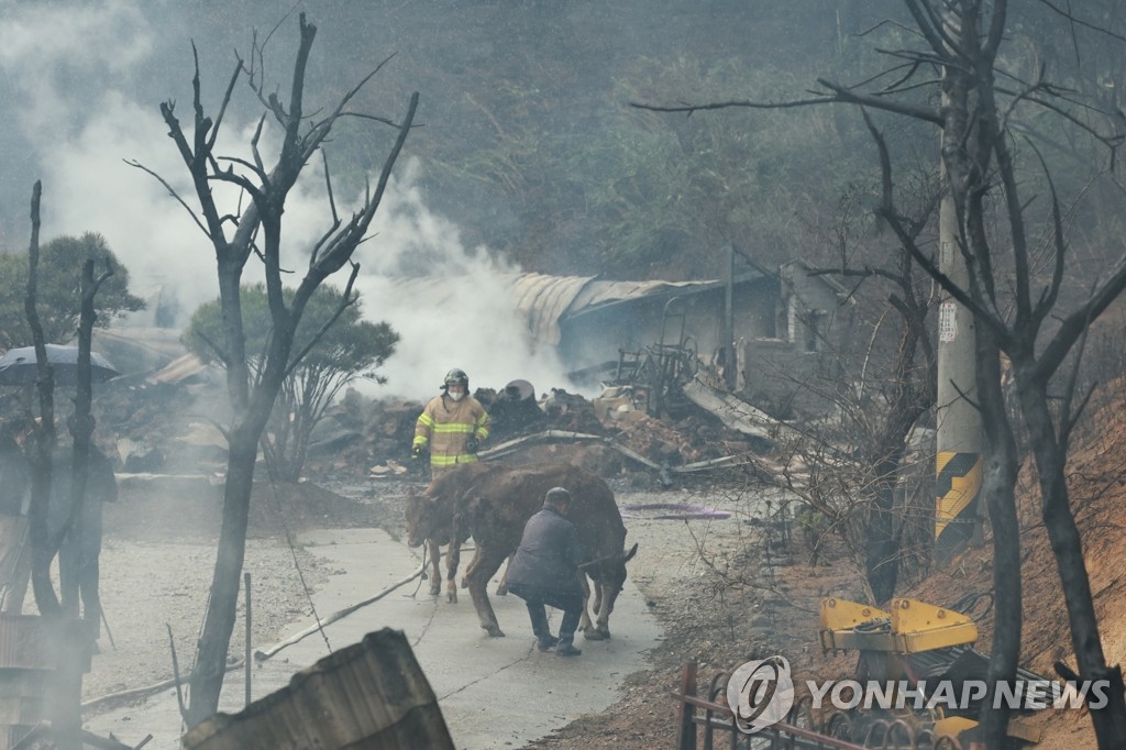 [강릉산불] 강원도, 산불 피해 이재민에 구호 물품·심리 상담 지원
