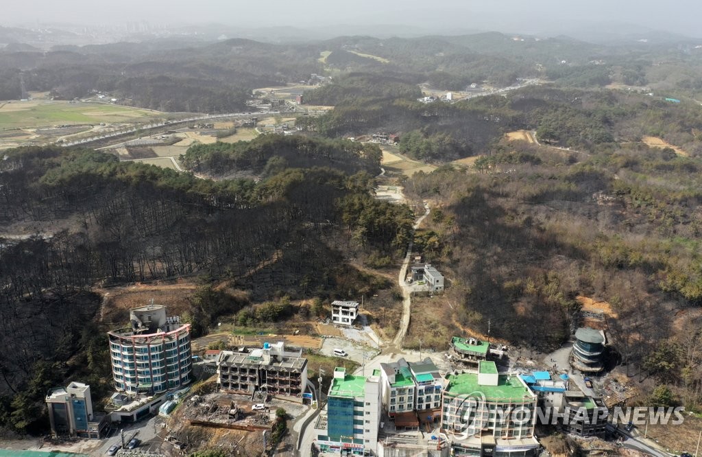 [강릉산불] 강릉시, 산불 피해 지역 주민 안정·복구 총력