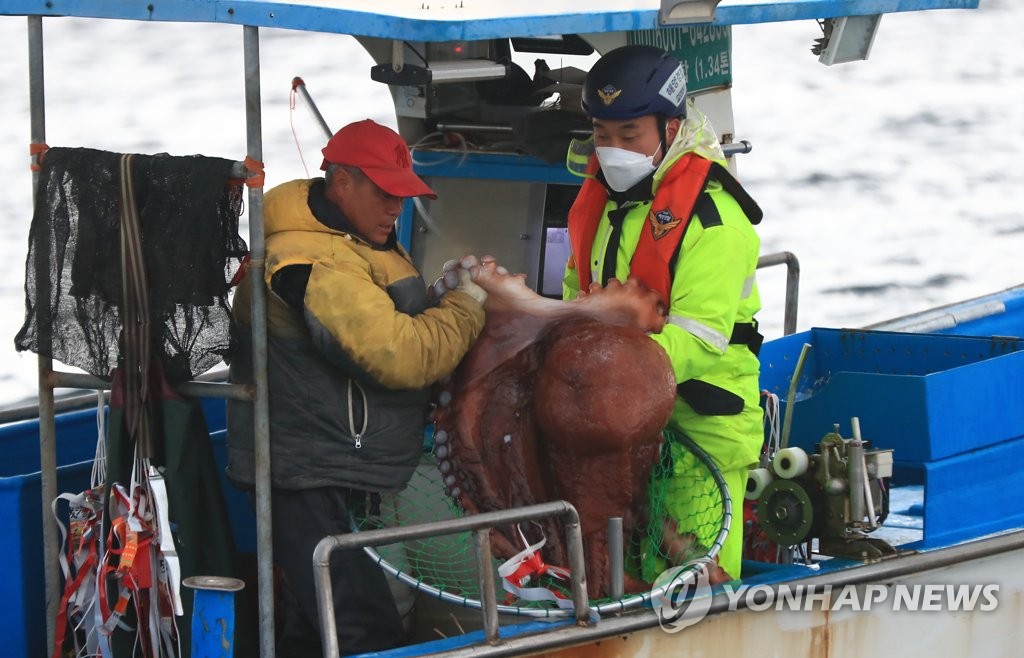 동해안 최북단 저도어장 한시적 개방…첫날 148척 출어