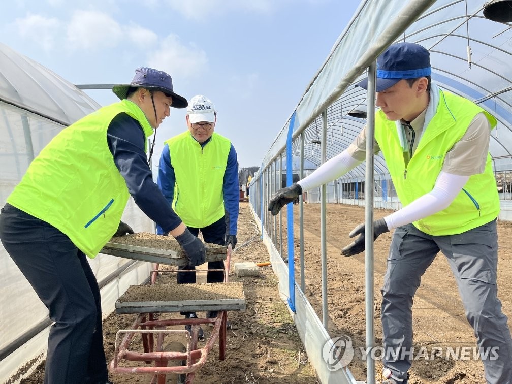 농협상호금융, 강원본부와 춘천서 합동 농촌 일손 돕기 펼쳐