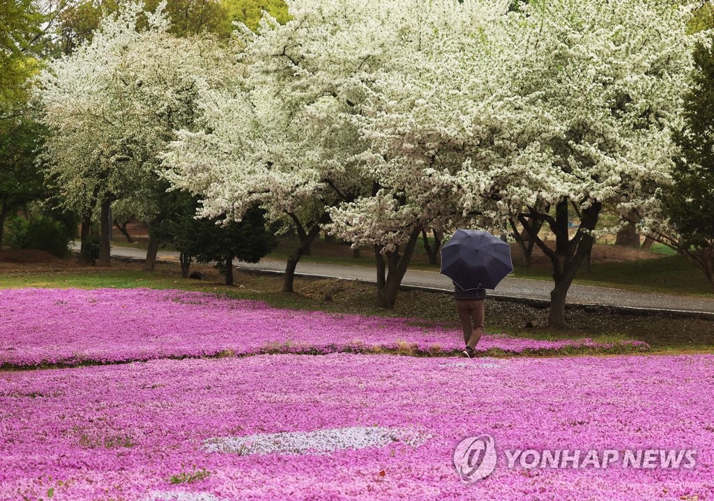 봄비도 못 막은 나들이…황금연휴 첫날 전국 축제장 북적