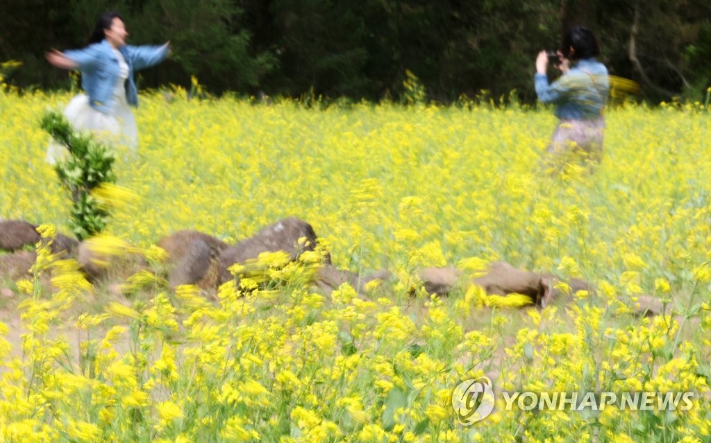 '제주 물가 비싸다' 관광객 불만 1위…전반적 만족도는 '제자리'