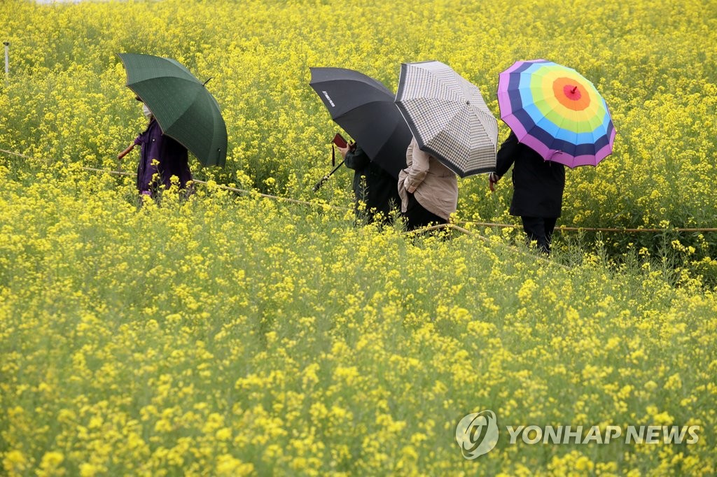 전북 흐리고 낮 최고 28도…미세먼지 '보통'