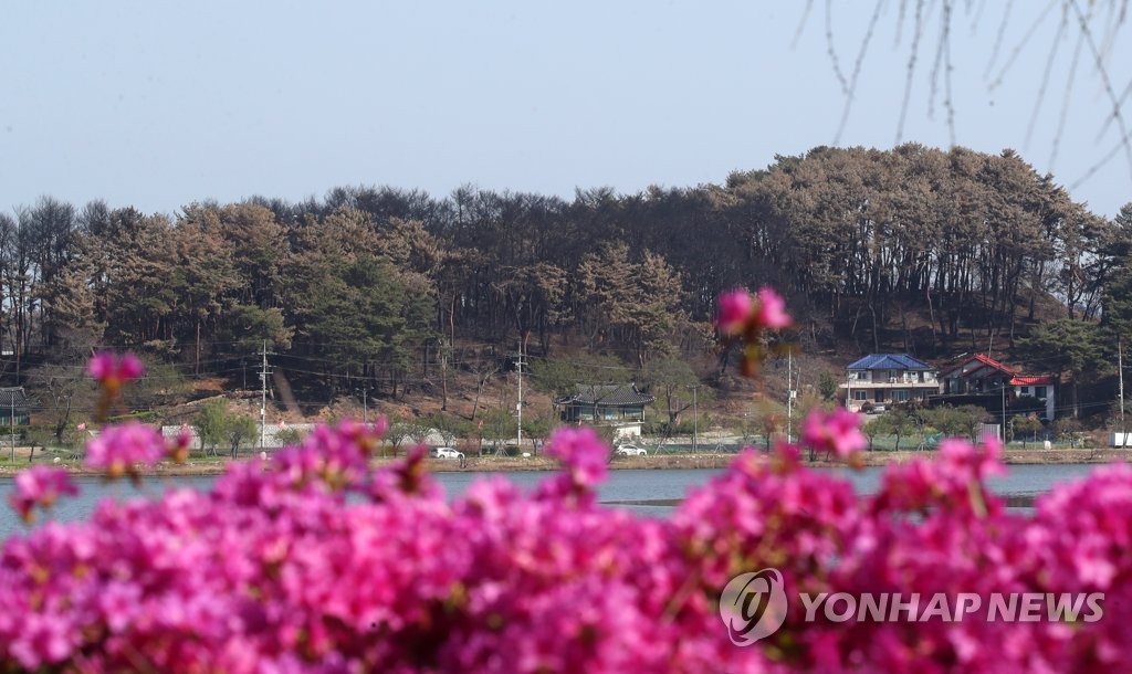 강릉 체육행사 풍성…"산불 피해 지역에 희망을 주세요"