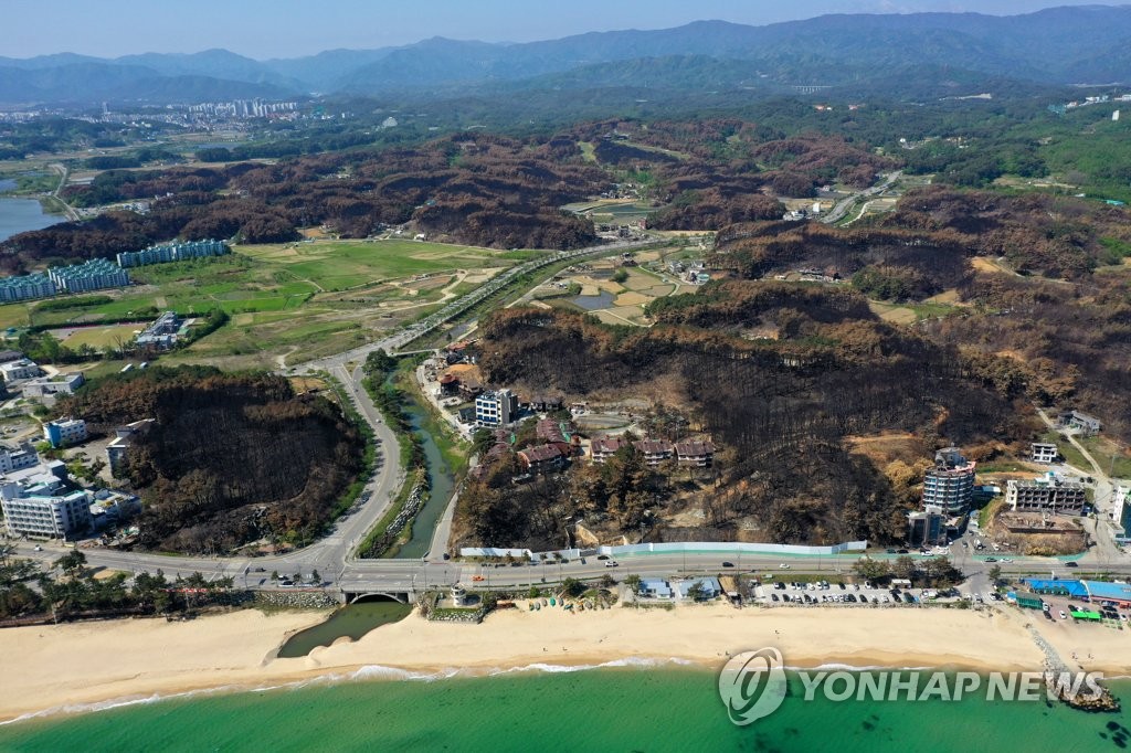 [르포] "다시 일어서야죠" 대형산불 아픔 딛고 활기 찾아가는 강릉