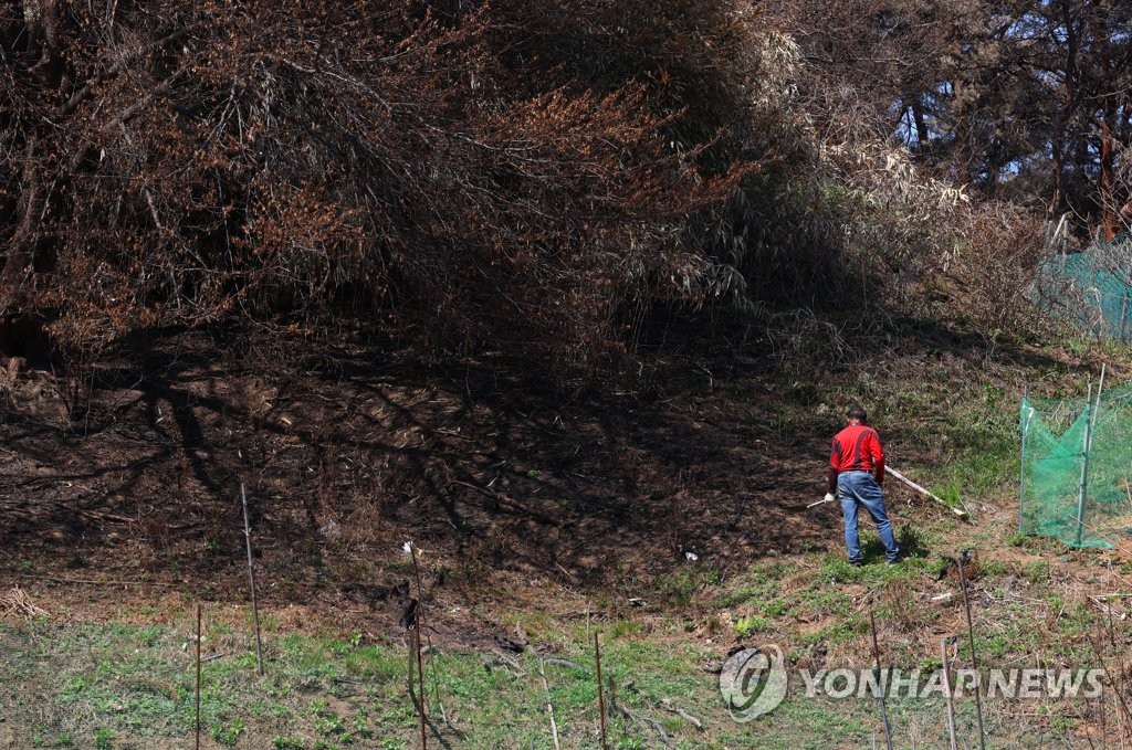 [르포] "다시 일어서야죠" 대형산불 아픔 딛고 활기 찾아가는 강릉