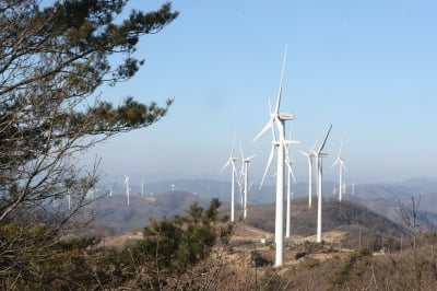 "EU도 재생에너지 비중 늘린다…국내 풍력·태양광 업체 수혜 전망"-유진