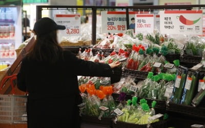 [속보] 3월 소비자물가 4.2% 상승…신선식품은 고공행진