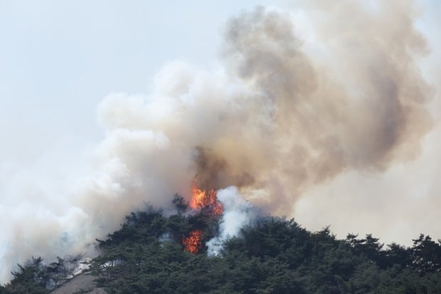  2일 오후 산불이 발생한 서울 종로구 인왕산에서 불길이 치솟고 있다. 사진=연합뉴스