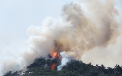 [속보] 서울 인왕산서 화재 발생…소방 당국 진화 중