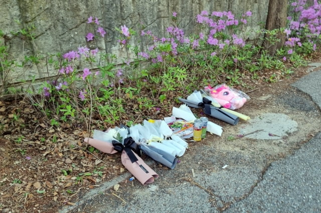 어린이보호구역 내 음주운전 사고로 배승아(9) 양이 사망한 가운데 9일 오전 대전 서구 둔산동 사고 현장에 배 양을 추모하기 위해 시민들이 놓고 간 국화꽃과 음료수, 장난감, 편지 등이 놓여있다. / 사진=연합뉴스