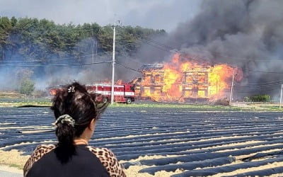 [속보] "강릉 산불로 민가 100가구 소실·주민 등 80여명 대피"