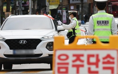 단속 2시간 만에 28건…대낮부터 '음주운전' 딱 걸렸다