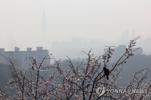 낮 최고 17∼27도 초여름 날씨…미세먼지 '나쁨'