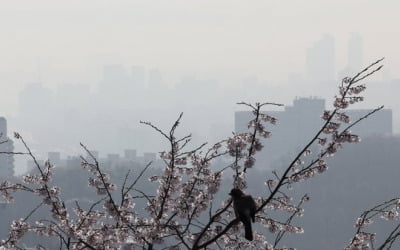 낮 최고 17∼27도 초여름 날씨…미세먼지 '나쁨'