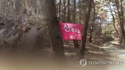 경북 청도 농막서 쓰레기 태우다 산불…50여분 만에 진화