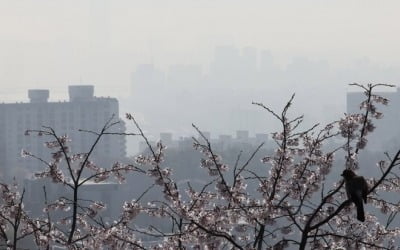 맑고 일교차 커…수도권 미세먼지 '나쁨'