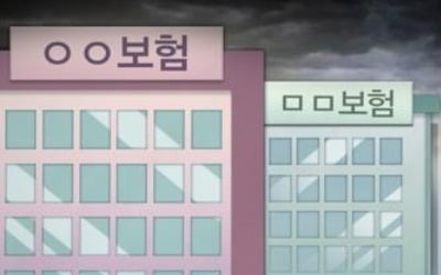 보험사 재무건전성 아슬아슬…일부사 권고 수준 밑돌아