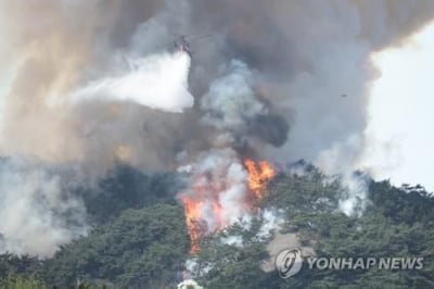 남양주·양평 등 경기 4곳서 산불…3곳 진화 중