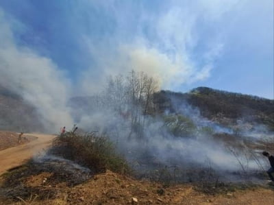 옥천 산불 31시간 만에 진화…"야간 재발화 등 감시"(종합)