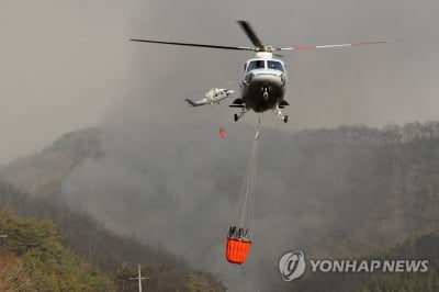 [르포] "바람 타고 날뛰는 산불, 꺼도 금세 되살아나"