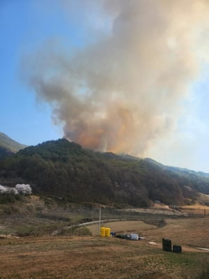 경북 영주 오운리 산불 3단계 발령…진화율 25％(종합)