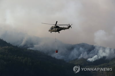 전남 함평 산불 대응 3단계 발령…진화율 29％