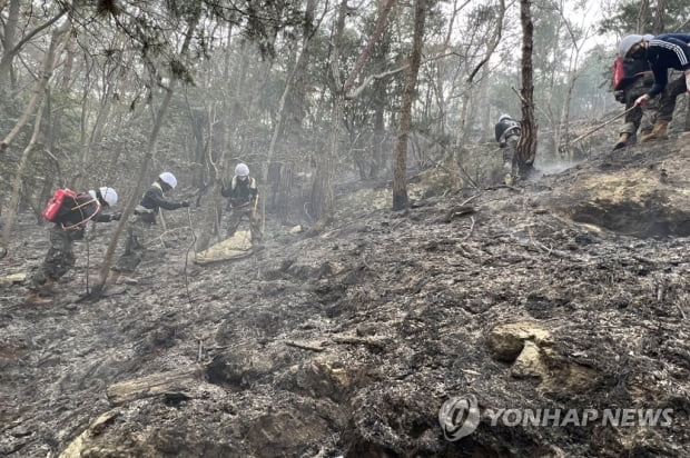 육군 31사단, 순천·함평 산불 진화 지원