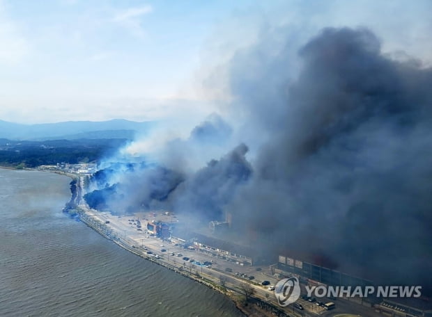 [강릉산불] '또 양간지풍'…"강풍에 부러진 나무가 전깃줄 덮쳐 확산"