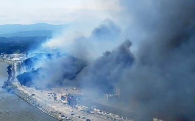 [강릉산불] '또 양간지풍'…"강풍에 부러진 나무가 전깃줄 덮쳐 확산"