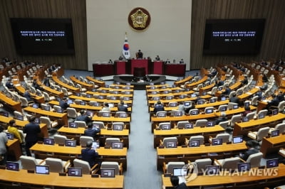 "비례대표 없애고 지역·인구대표 뽑아 美양원제 방식으로"