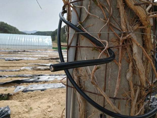 [강릉산불] 산림청 "끊긴 전선과 발화지점, 정전 시간 일치"