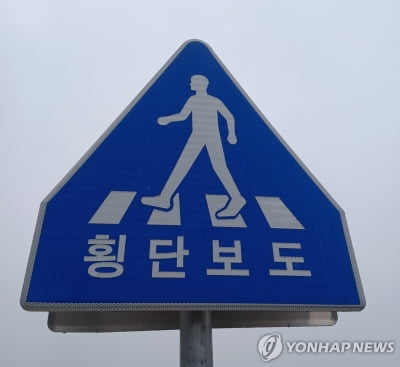 출근길 횡단보도 건너던 20대 여성, 음주운전 뺑소니에 의식불명