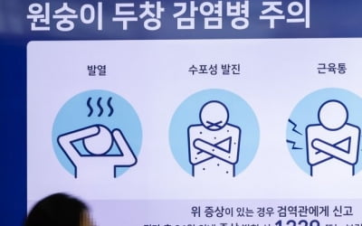 엠폭스 확진자 3명 늘어…해외여행 이력 없어 국내감염 추정