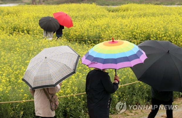 대체로 흐린 '곡우'…대구 낮 최고카지노 게임 추천 30도