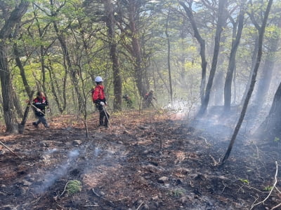 국립공원 주왕산서 산불…1시간만에 진화